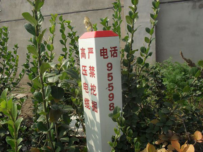 䓘(bio)־